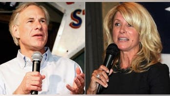 Wendy Davis surrogate slams paraplegic opponent: 'He just rolls around'