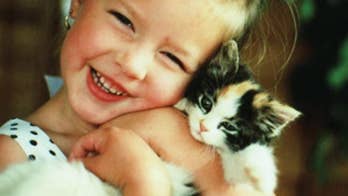 American Humane Association