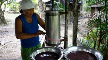 Brazilian Acai Becomes American Staple