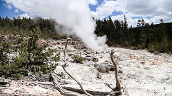Long-dormant Yellowstone hot spring erupts