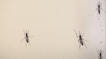 Malaysia expects more Zika cases as virus spreads in Southeast Asia