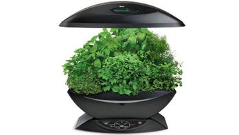 Gifts ideas for gardeners