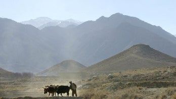 Tora Bora captured? Taliban dispute ISIS claim