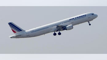 Baby found hidden in carry-on bag on Air France flight