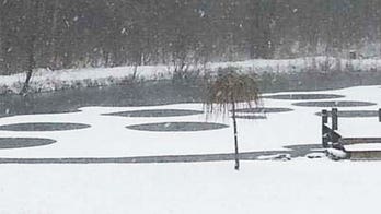 Mysterious pond circles in NY spur talk of aliens