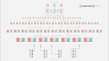 AncestryDNA reconstructs partial genome of 19th century man