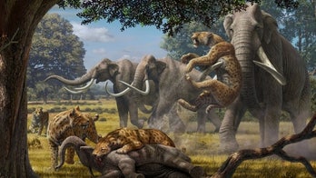 Ancient super-predators could take down young mammoths