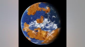 Venus could have once been habitable, NASA says