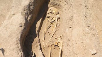 Scientists find 6,200-year-old parasite egg in ancient skeleton