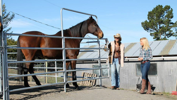 Horses helping Military veterans