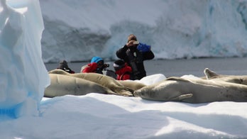 Why traveling to Antarctica may be the hottest ticket in town