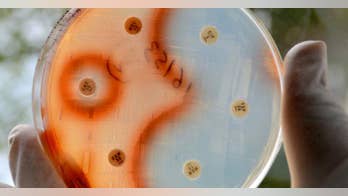 Experts Say THIS Will Overtake Cancer to Become Top Killer By 2050