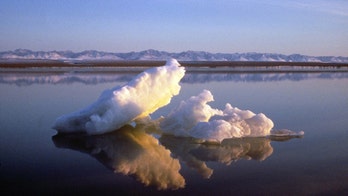 House votes to ban drilling in Arctic refuge