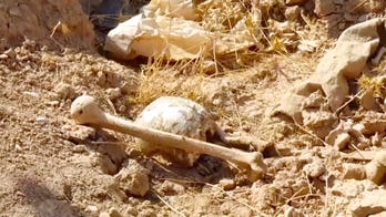 Mass graves discovered in former ISIS-controlled territory in Iraq could contain 400 bodies