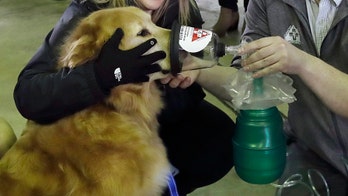 Michigan fire department receives hundreds of donated pet oxygen masks