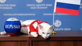 World Cup winners predicted by Russia's 'psychic' cat Achilles