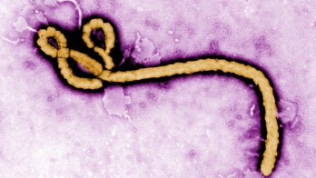 Woman with Ebola likely spread the virus a year after infection, doctors say