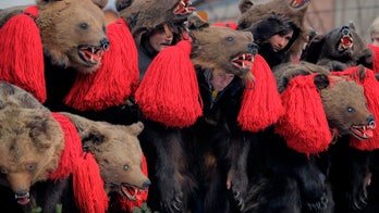 Partiers ring in the new year with giant bear costumes