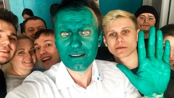 Anti-Putin activist Alexei Navalny sprayed green in attack