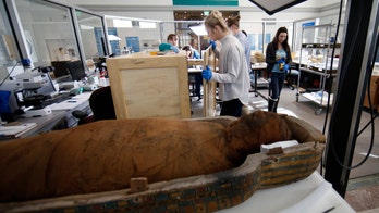 Building demolition threatens fragile artifacts at museum next door