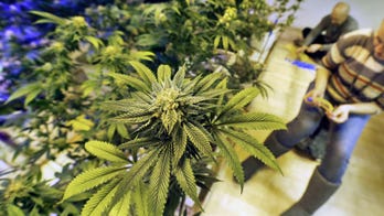 Marijuana for menstrual cramps? New product causes concern