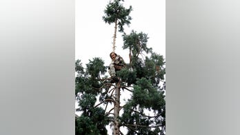 Seattle's 'man in tree' charged in sequoia standoff