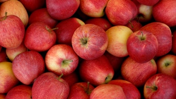 Apples 101: which are the best for baking, cooking and eating