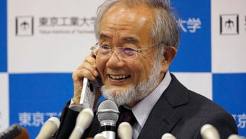 Nobel Prize for Japanese who unraveled cell recycling system