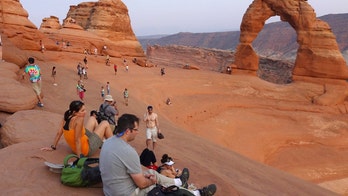 Human-made noise disrupting the serenity of natural parks, impacting wildlife, study says