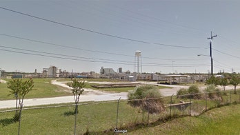 Harvey aftershock: Chemical plant near Houston could explode, CEO says