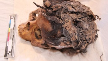 Ancient Egyptian woman with 70 hair extensions discovered