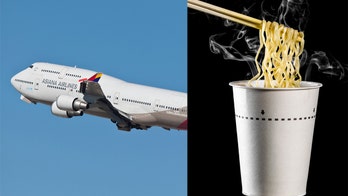 Flight attendant, airline must pay model $101,000 for burns from soup spill