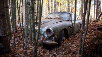 Rotting 'yard find' Aston Martin DB4 worth a fortune