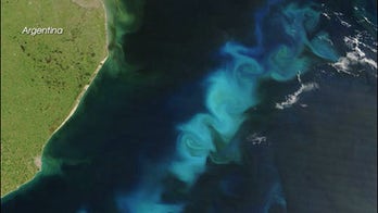 Invisible war rages in world's oceans