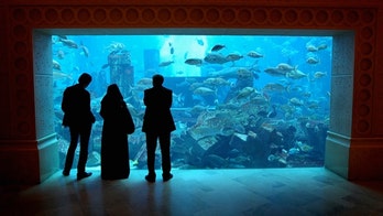 Atlantis Resorts plans world's most expensive resort in Hawaii