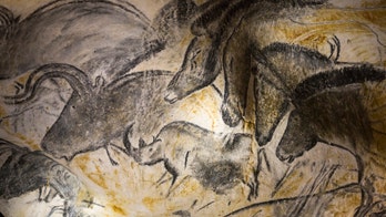 Cows as big as elephants may soon roam Europe