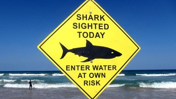 Shark attacks force World Surf League to cancel major competition in Australia