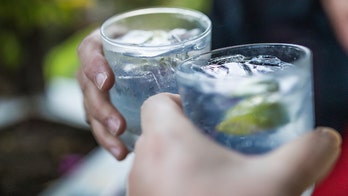 Gin drinkers spend more money drunkenly online shopping, study reveals