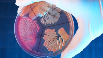 6 in Seattle sickened by local food vendor