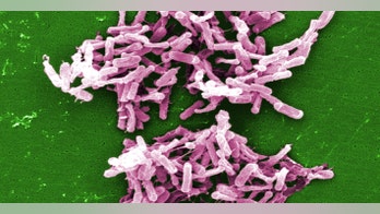 CDC warns overuse of antibiotics has fueled more infections