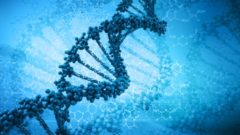 Studying genes to predict negative side effects of drugs