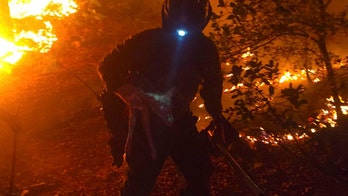 Baby deer saved by elite firefighters from Arizona wildfire