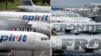 Lawmaker urges airlines to drop holiday hike on bag fees