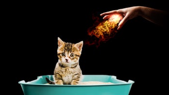 Tricks to Banish Bad Smells From Your Home -- Forever