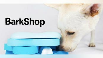 "BarkShop" Gear to keep your dog warm in the frigid weather