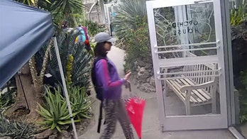 Bold thief steals rare, colorful butterfly from Ohio conservatory