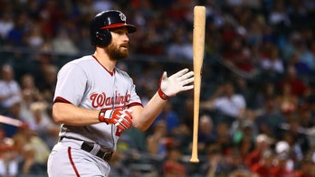 Hungry beetles may end season for baseball's ash bats