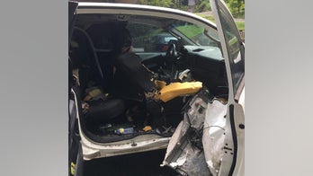 Tennessee officials post warning after bear gets into truck