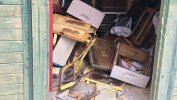 Thousands of bees killed and $60G in damage done by vandals in Iowa, police say