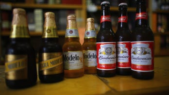 Anheuser-Busch Inbev Deal for Modelo Blocked by Justice Department